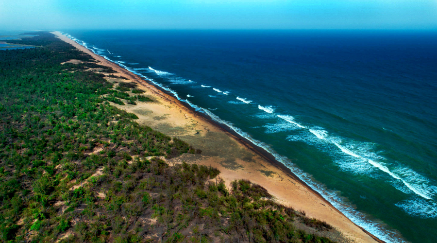 Chandrabhaga Beach near Konark, Odisha